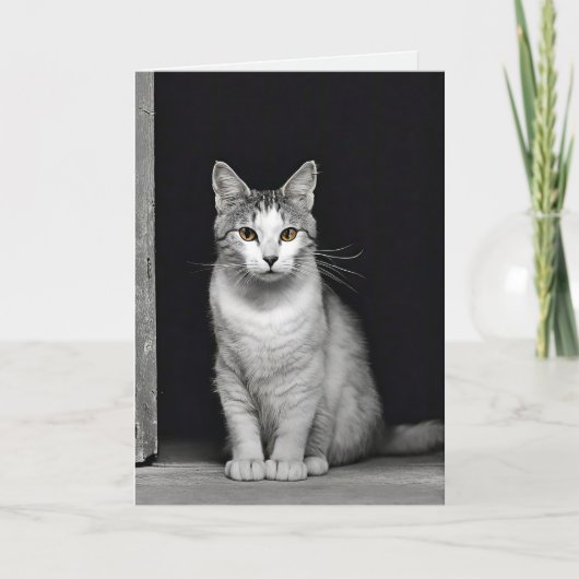 sympathie voor kat Pet verlies Kaart (Voorkant)