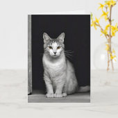 sympathie voor kat Pet verlies Kaart (Gele Bloem)