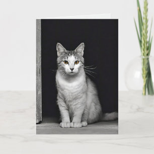 sympathie voor kat Pet verlies Kaart