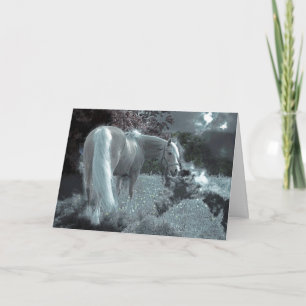 sympathie voor paarden kaart