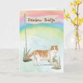 sympathie voor Schotse kat Pet over de regenboogbr Kaart (Gele Bloem)