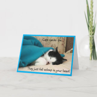 Sympathie voor slapende zwarte en witte kat kaart