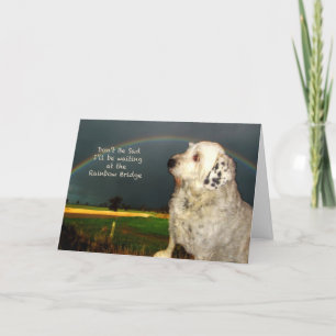 Sympathie voor verlies hond kaart