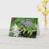 Sympathie voor verlies van Baby of kind, Hosta Blo Kaart (Gele Bloem)