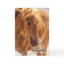 sympathie voor western Toorse Pet