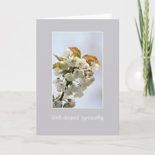 sympathie voor witte bloesem , engels kaart (Voorkant)