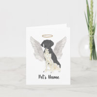Sympathie voor zwart-wit Duitse horthaired Pointer