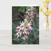 Sympathie - Vrouw geliefde - orchidee Kaart (Gele Bloem)