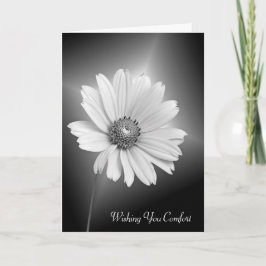 Sympathie White Daisy Flower Kaart