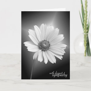 Sympathie White Daisy over zwart Kaart