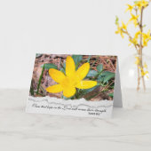 Sympathie Yellow Crocus Kaart (Gele Bloem)