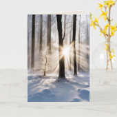 Sympathie zonnestralen in het winterbos kaart (Gele Bloem)