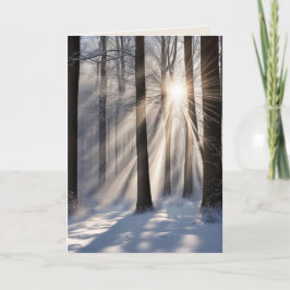 Sympathie zonnestralen in het winterbos kaart