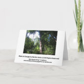 Sympathieën - Californische sequoia's - Kaart (Achterkant)