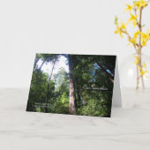 Sympathieën - Californische sequoia's - Kaart (Gele Bloem)