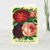 Sympathiekaart Het Roos groeit nog steeds tot voor Kaart (Voorkant)
