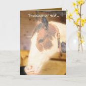 Sympathiekaart (paard) kaart (Gele Bloem)