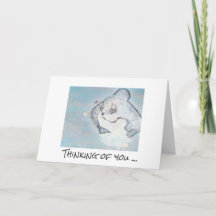 Sympathiekaart - Voor altijd bij jou (kat)