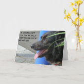 Sympathiekaart voor hond - Sunshine in de ogen van Kaart (Gele Bloem)