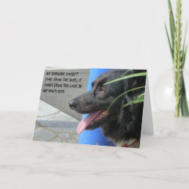 Sympathiekaart voor hond - Sunshine in de ogen van Kaart