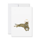 Sympathiekaart voor regenbooghonden