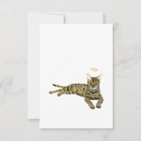 Sympathiekaart voor regenbooghonden