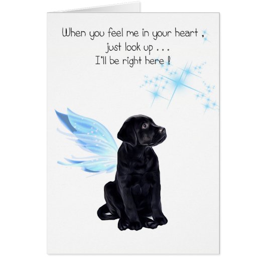 Sympathiekaart voor zwartwitlak - Dog Sympathie -  (Voorkant)