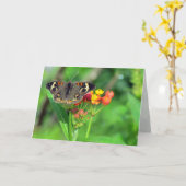 Sympathikaart (Common Buckeye 2470) Kaart (Gele Bloem)