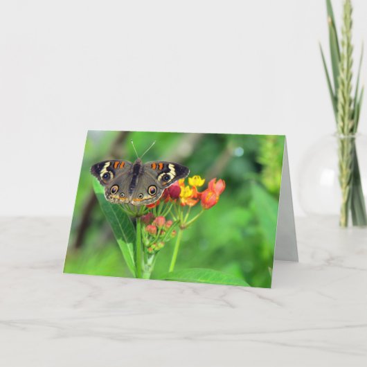 Sympathikaart (Common Buckeye 2470) Kaart (Voorkant)