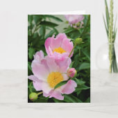 Sympathikaart Kaart (Voorkant)