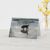 Sympathikaart voor Dog Passing Kaart (Gele Bloem)