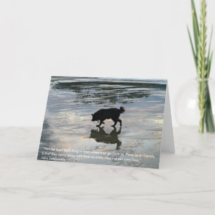 Sympathikaart voor Dog Passing Kaart