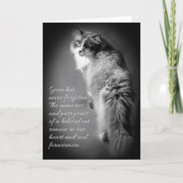 Sympathisatiekaart voor kattenverlies kaart