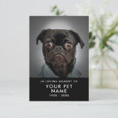 Sympathisatiekaarten voor gezelschapsdieren kaart (Staand voorkant)