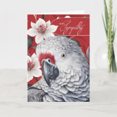 Sympathy African Grey Parrot Red and White Lilies Kaart (Voorkant)
