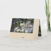 Sympathy Apple Blossom Kaart (Achterkant)