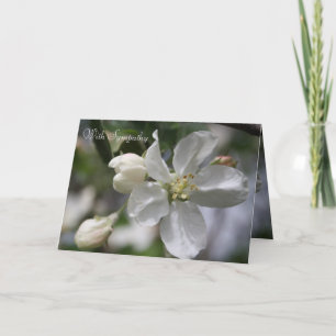 Sympathy Apple Blossom Kaart