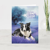 Sympathy Border Collie Dog Lavender Meadow Kaart (Voorkant)