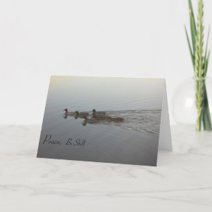 Sympathy Card Inspirerend Vreedzame Eenden Ripples Kaart