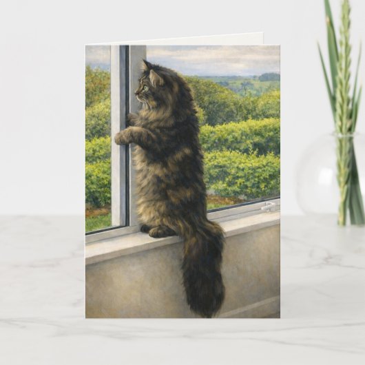 Sympathy Card | Quiet Maine Coon Cat at the Window Aankondiging (Voorkant)