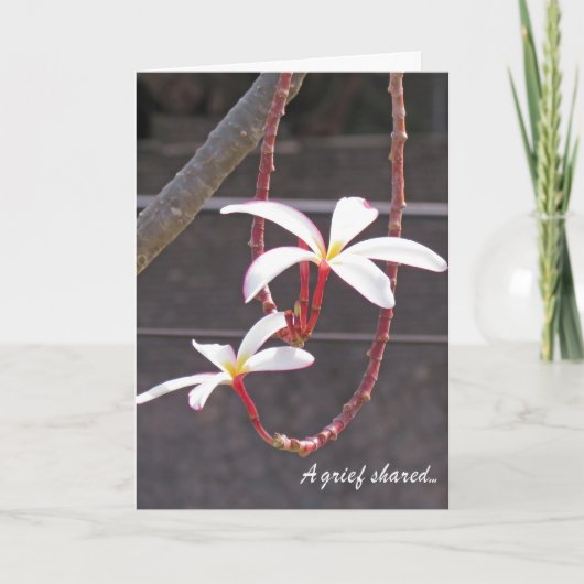 Sympathy Card-tropische bloemen Kaart (Voorkant)