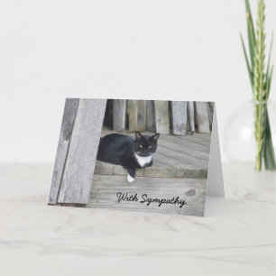 Sympathy Card - Verlies van de kat Kaart