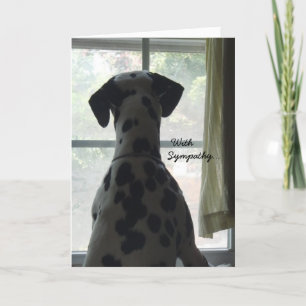 Sympathy Card - Verlies van hond Kaart