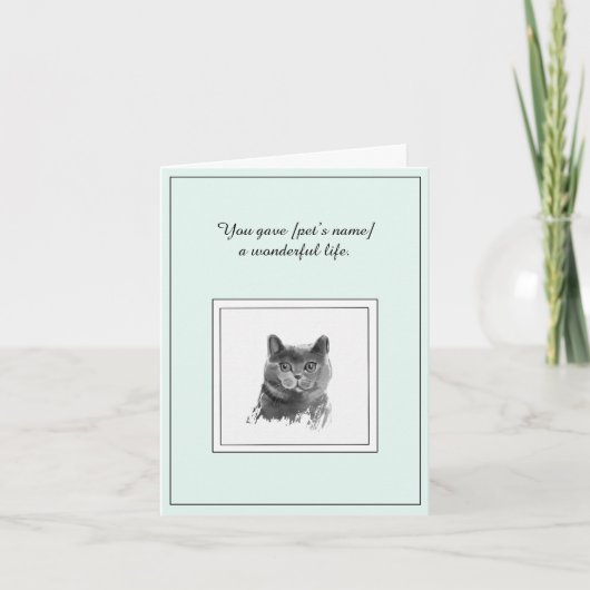 Sympathy Card voor een Britse Korthaar Kat Kaart (Voorkant)