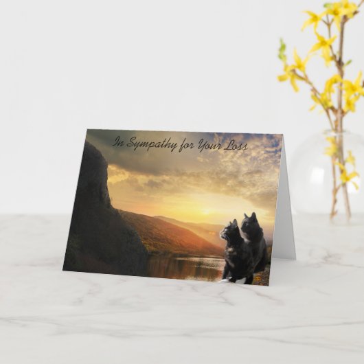 Sympathy Death of Pet Cat Kaart (Gele Bloem)