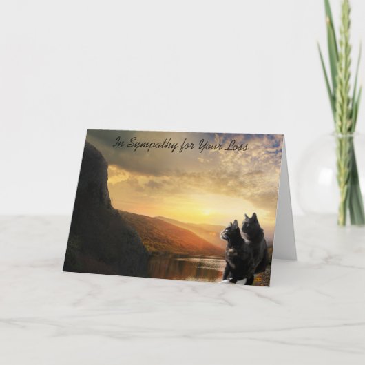 Sympathy Death of Pet Cat Kaart (Voorkant)