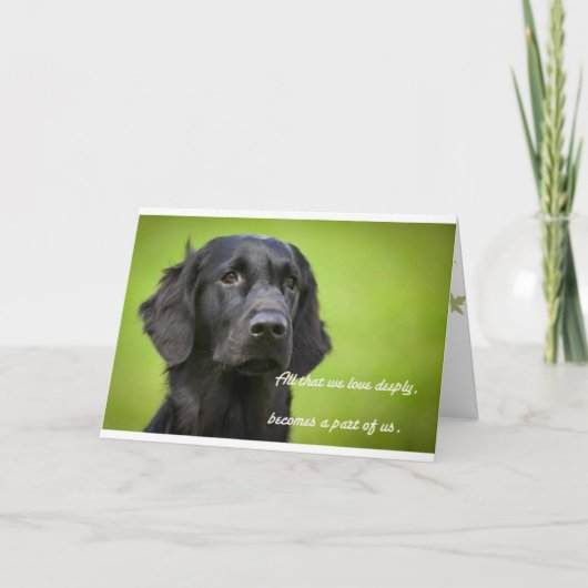 Sympathy-kaart met Flatcoat Retriever Kaart (Voorkant)