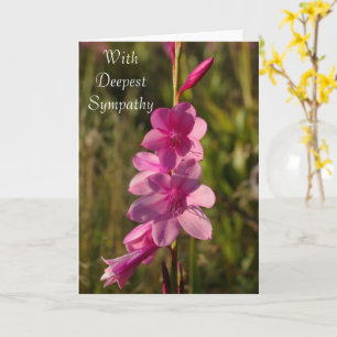 Sympathy Roze Bloemen Wit Script Bericht Foto Kaart