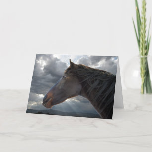 Sympathy Support & Comfort - Paardenliefhebber Kaart