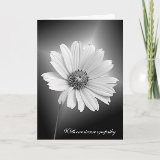 Sympathy White Daisy With Light Beams Kaart (Voorkant)